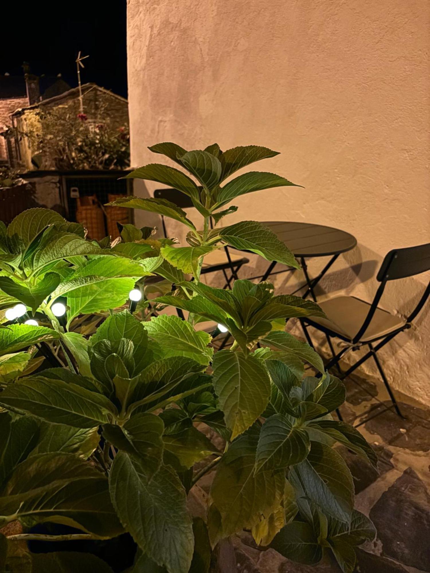 Encanto De Xisto Piódão 外观 照片